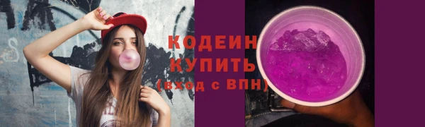 2c-b Гусев