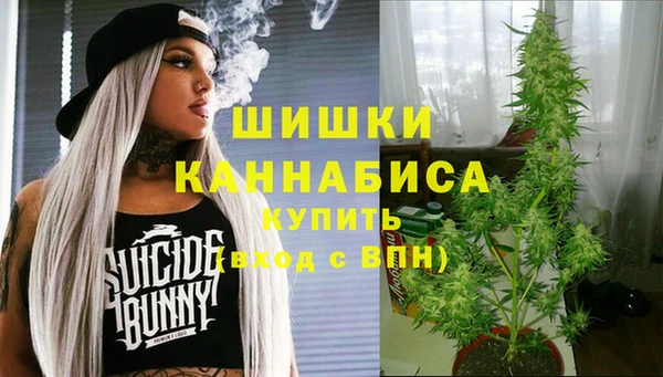 индика Гусиноозёрск