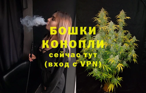 2c-b Гусев