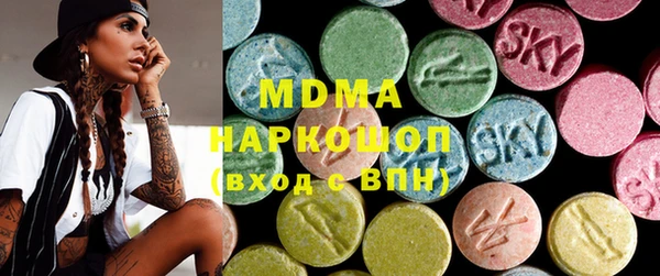 индика Гусиноозёрск