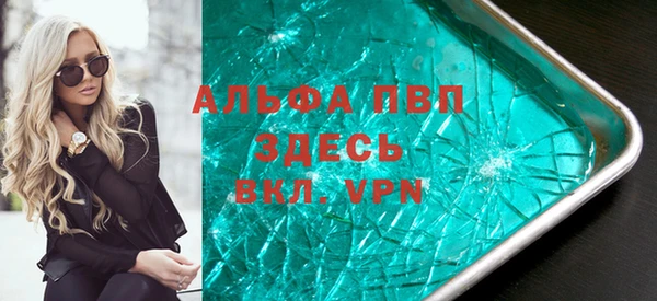 индика Гусиноозёрск