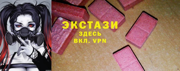 индика Гусиноозёрск