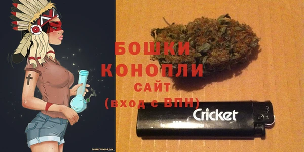 2c-b Гусев