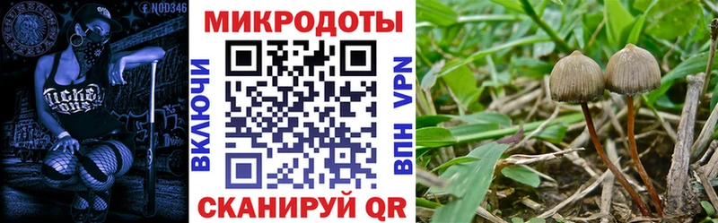 купить закладку  Домодедово  Псилоцибиновые грибы Magic Shrooms 